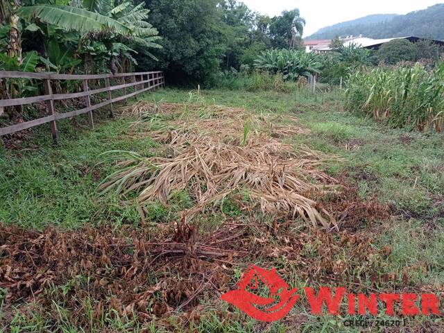 #1146 - Terreno para Venda em Tupandi - RS