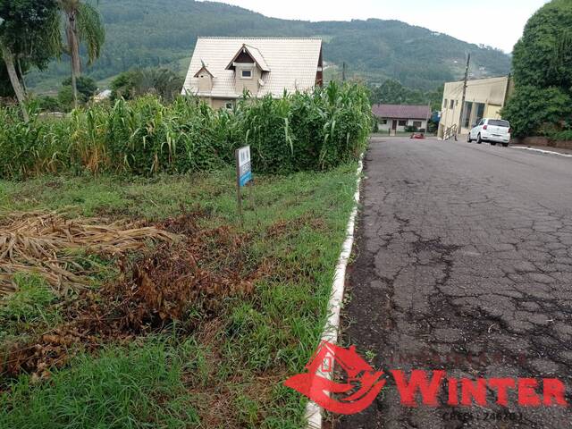 Terreno para Venda em Tupandi - 5