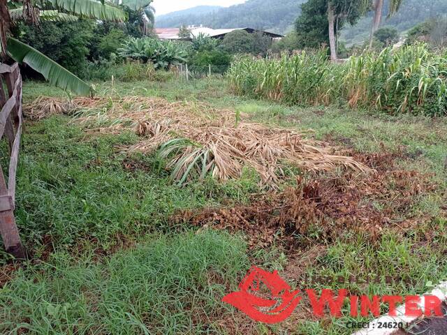 Terreno para Venda em Tupandi - 4