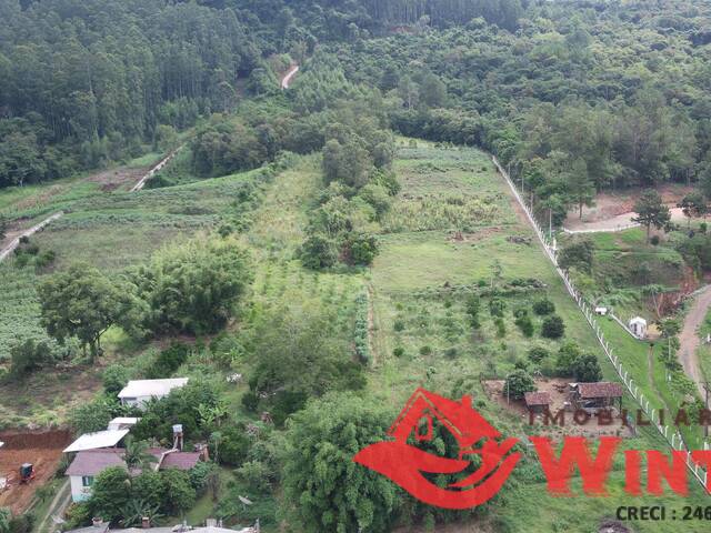 Área de terras para Venda em Feliz - 5