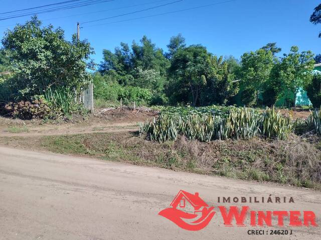 Terreno para Venda em Linha Nova - 4