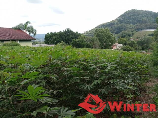 Terreno para Venda em Bom Princípio - 5