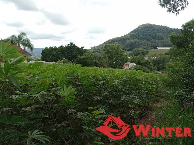 Terreno para Venda em Bom Princípio - 4