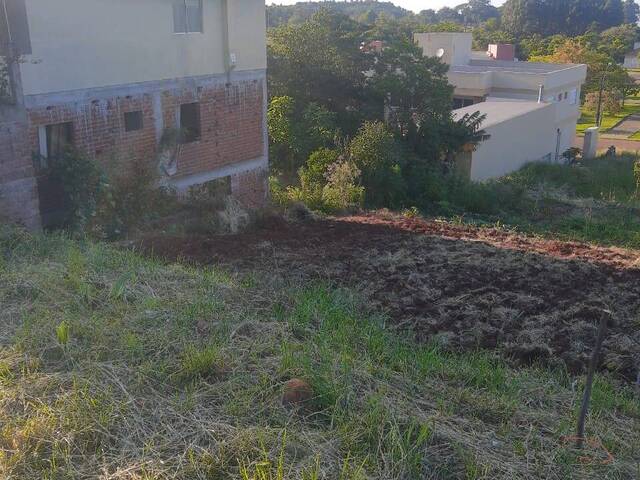 Venda em Centro - Linha Nova