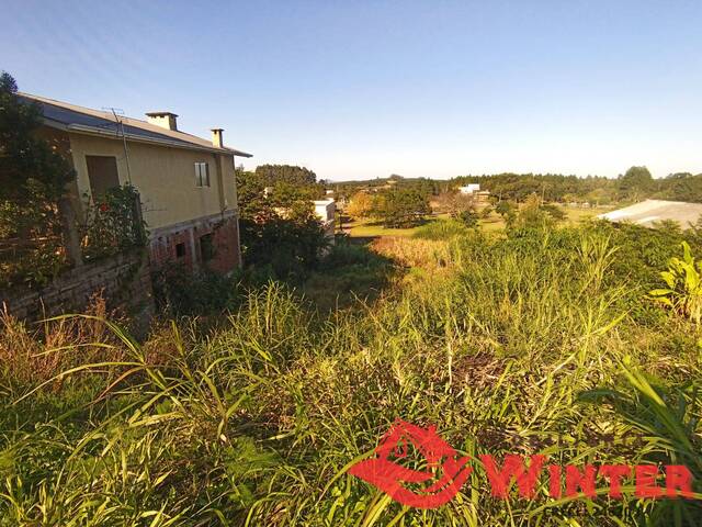 Área de terras para Venda em Linha Nova - 5