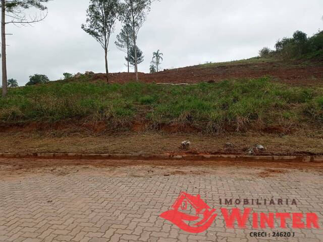Terreno para Venda em Feliz - 5