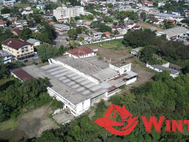 Terreno para Venda em Feliz - 2