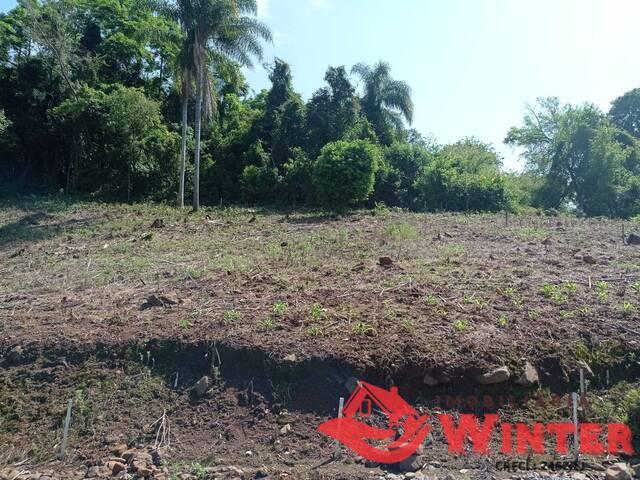 Terreno para Venda em Vale Real - 5