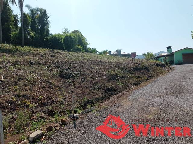 Terreno para Venda em Vale Real - 4