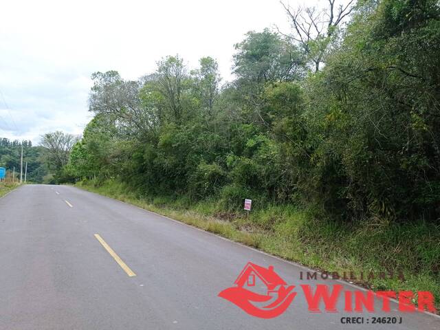 Área de terras para Venda em Feliz - 4