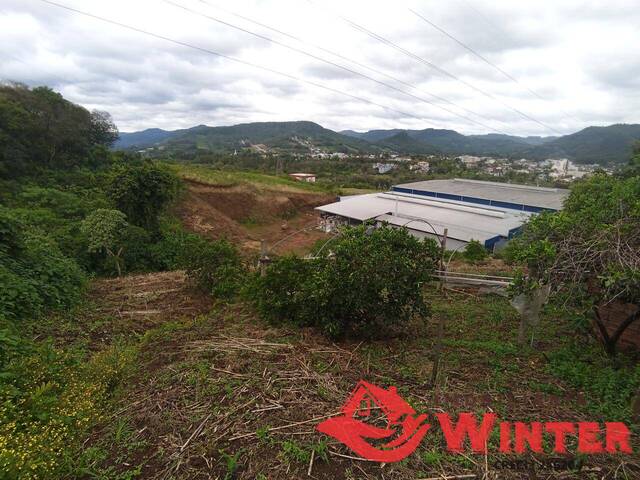 Terreno para Venda em Feliz - 4