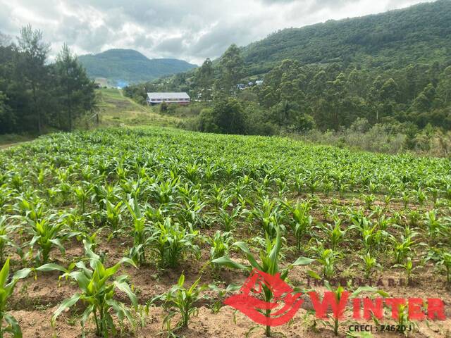 Área de terras para Venda em Feliz - 4