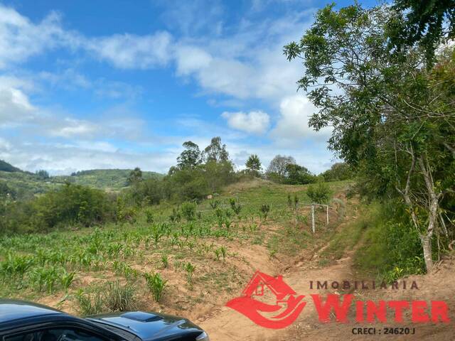 Área de terras para Venda em Feliz - 5