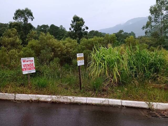 Terreno para Venda em Feliz - 4