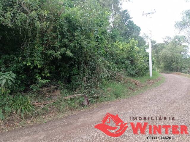 Área de terras para Venda em Feliz - 4