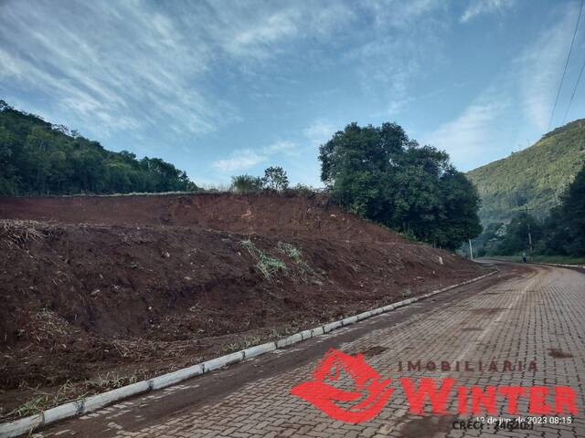 Terreno para Venda em Vale Real - 4