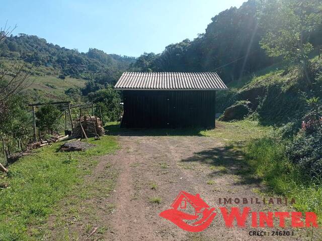 Área de terras para Venda em Alto Feliz - 5