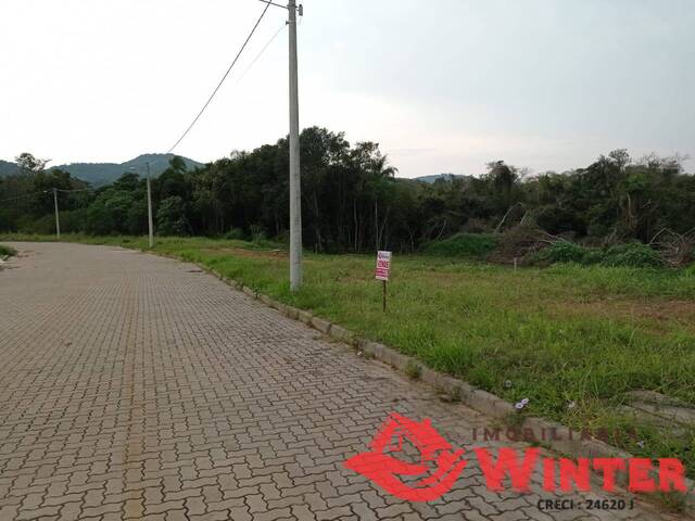 Terreno para Venda em Feliz - 4