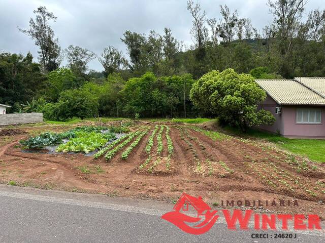 Terreno para Venda em Feliz - 3