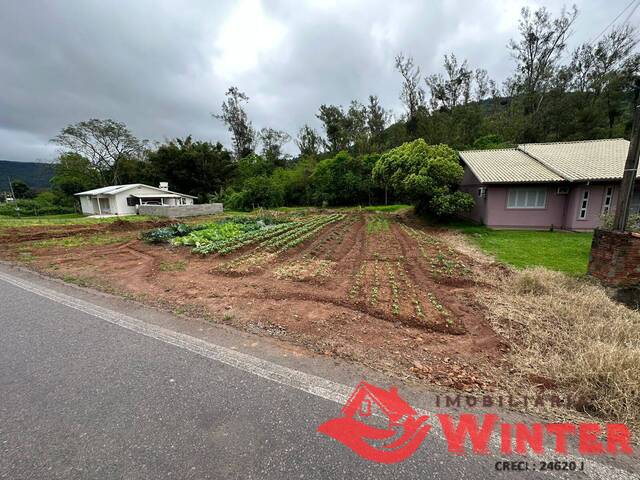 Terreno para Venda em Feliz - 2
