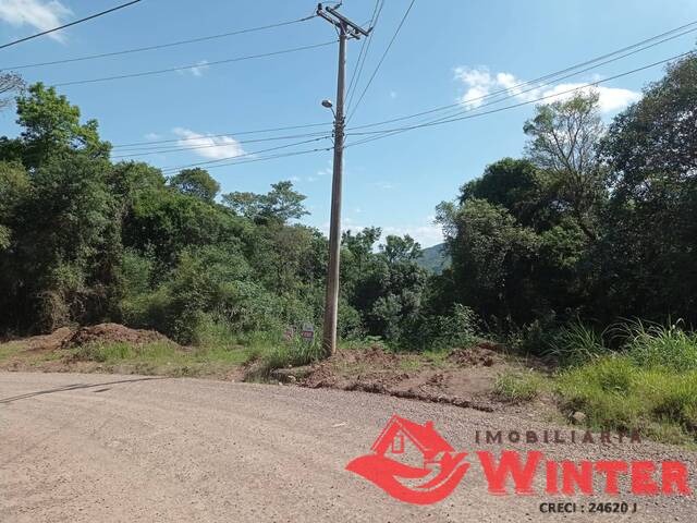 Terreno para Venda em Feliz - 4