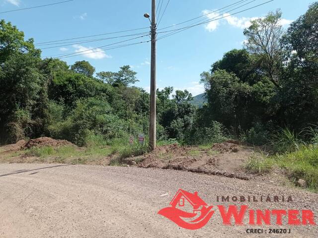 Terreno para Venda em Feliz - 5