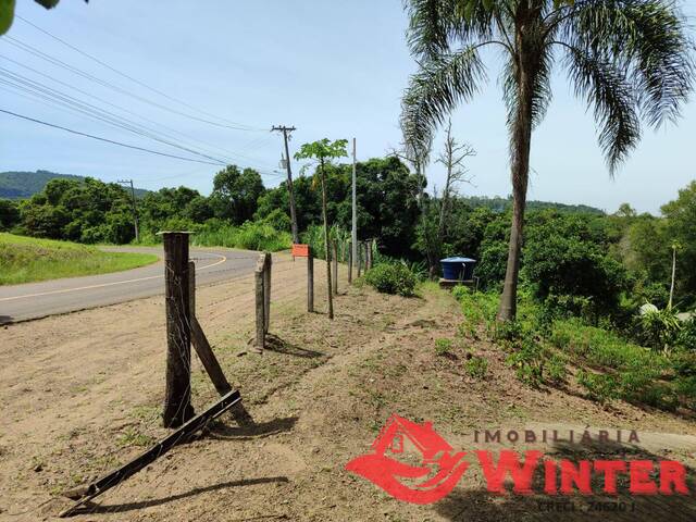 Venda em Escadinhas - Feliz