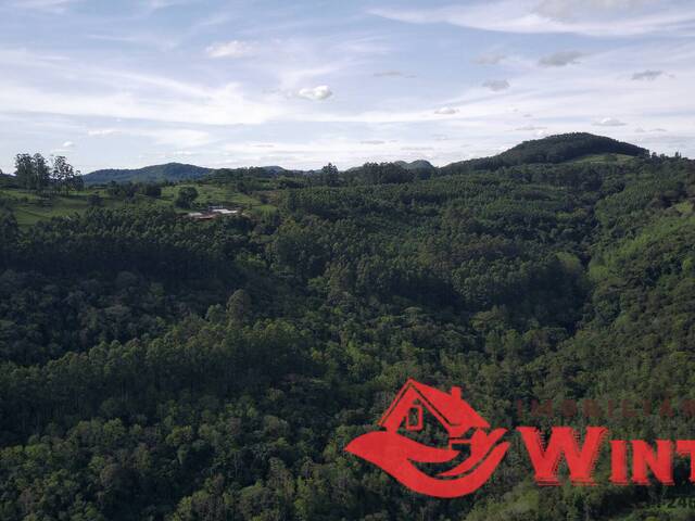 Área de terras para Venda em Linha Nova - 5