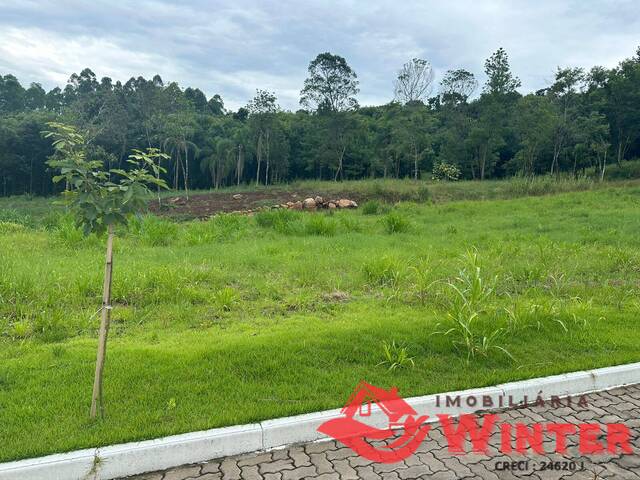 #1981 - Terreno para Venda em Feliz - RS - 3