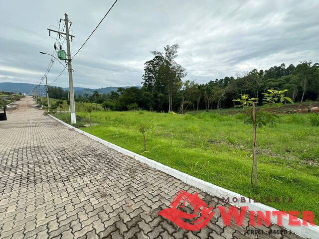 Terreno para Venda em Feliz - 4