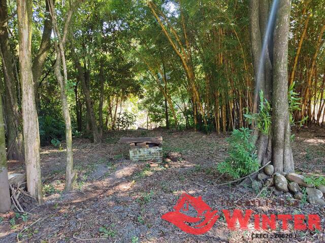 Área de terras para Venda em Feliz - 4