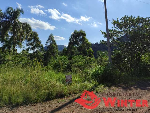 Área de terras para Venda em Linha Nova - 4
