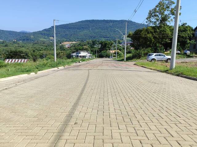 Terreno para Venda em Feliz - 4