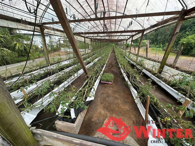 Área de terras para Venda em Feliz - 5