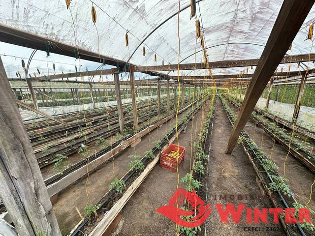 #2025 - Área de terras para Venda em Feliz - RS