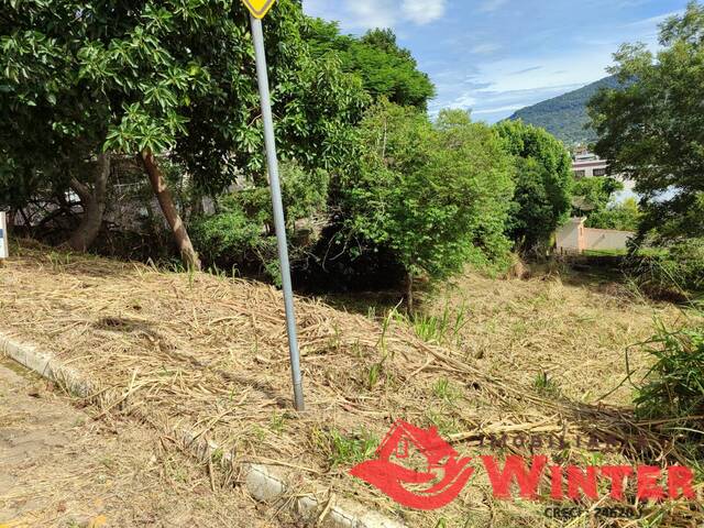 Terreno para Venda em Feliz - 4