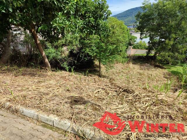 Terreno para Venda em Feliz - 5