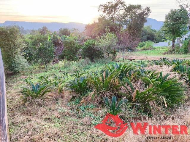 Terreno para Venda em Feliz - 4