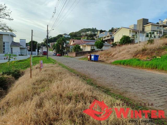 #2050 - Terreno para Venda em Feliz - RS - 3