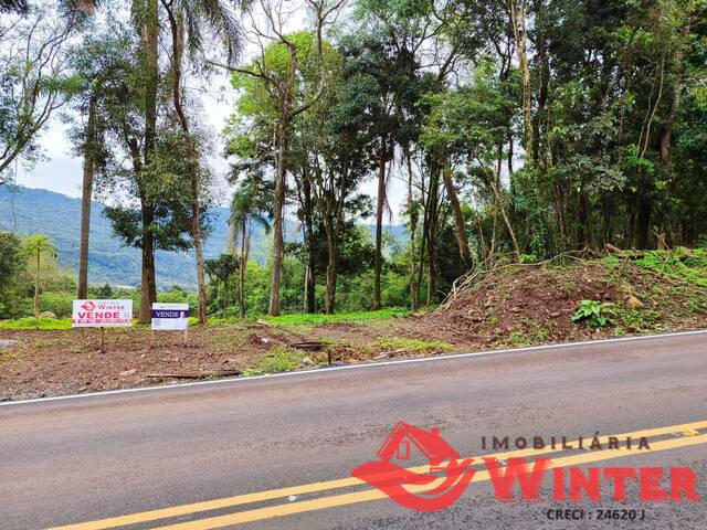 Terreno para Venda em Feliz - 4