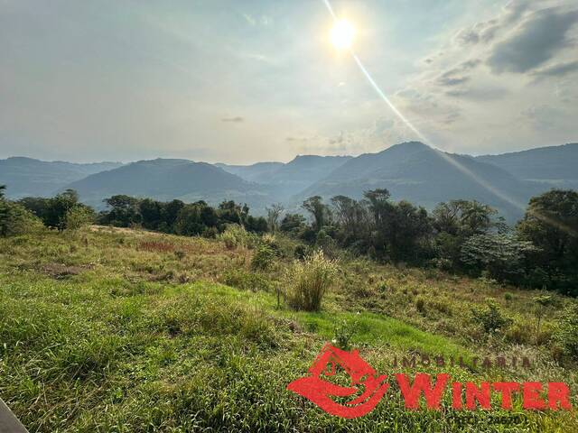 Área de terras para Venda em Vale Real - 5