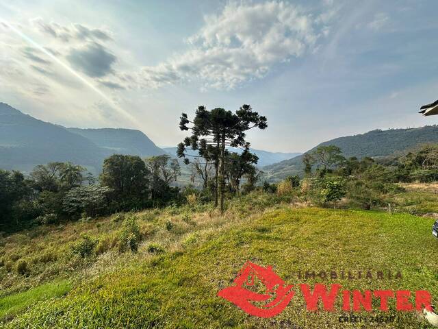 Área de terras para Venda em Vale Real - 4
