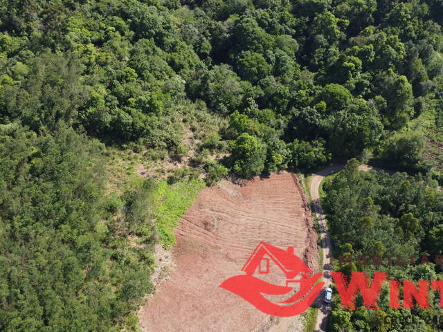 Área de terras para Venda em Linha Nova - 4