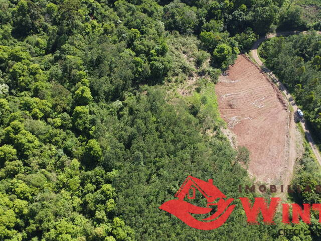 Área de terras para Venda em Linha Nova - 5