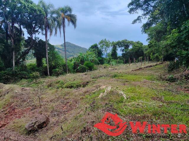 Área de terras para Venda em Vale Real - 4