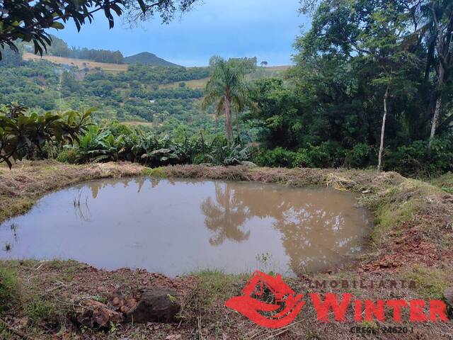 #2123 - Sítio para Venda em Vale Real - RS - 3