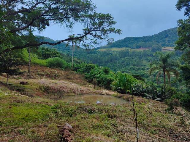 Área de terras para Venda em Vale Real - 5
