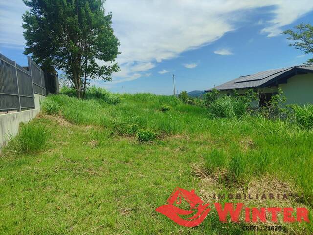 Terreno para Venda em Feliz - 5