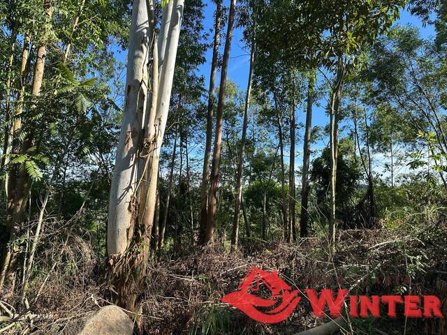 Área de terras para Venda em Bom Princípio - 4