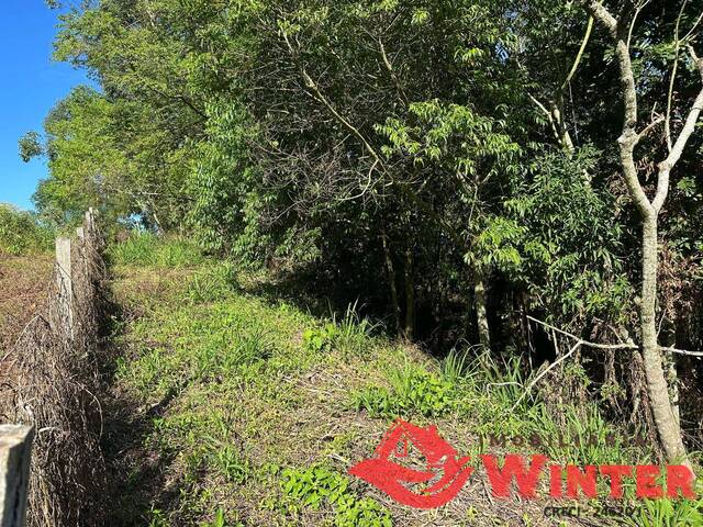 Área de terras para Venda em Bom Princípio - 5